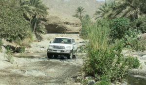 Toyota jeep