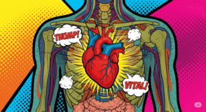 Human anatomy