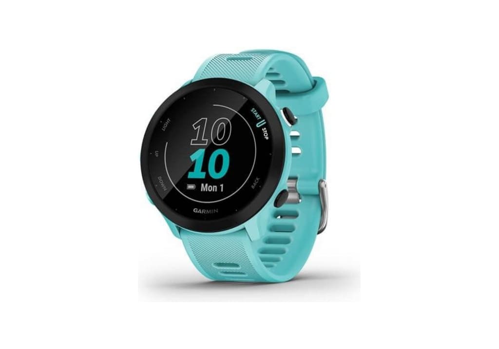 Garmin Forerunner 55 smartwatch